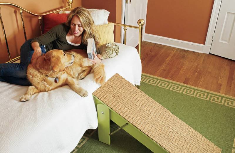 DIY Dog Ramp