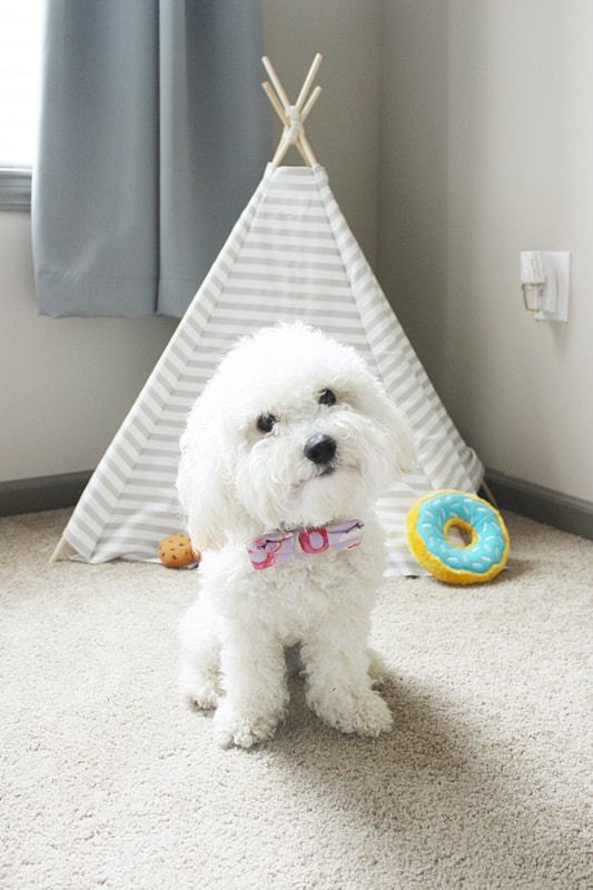 DIY NO-SEW DOGGIE TENT