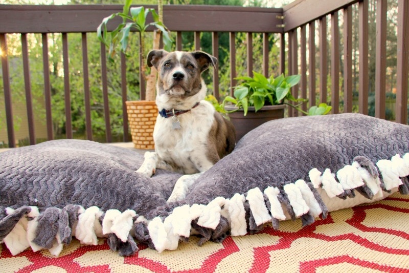 DIY dog bed