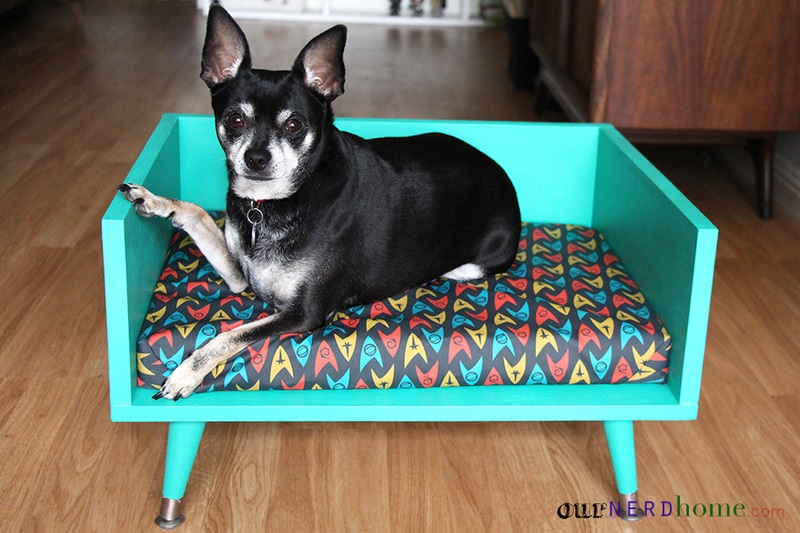 DIY dog bed