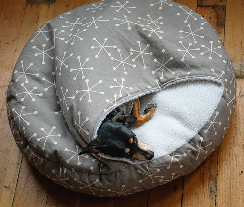 DIY dog bed