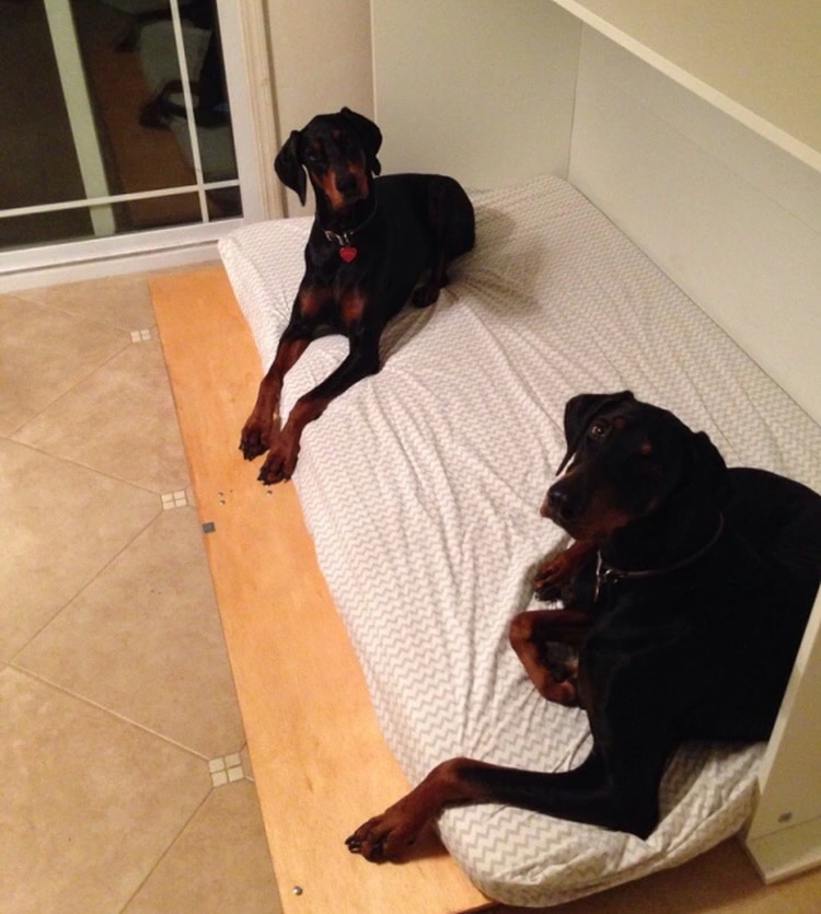 DIY dog bed