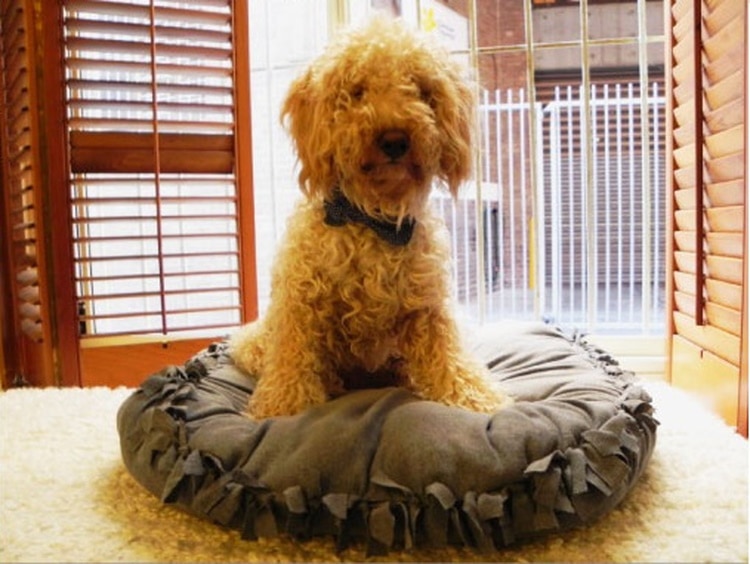 DIY dog bed