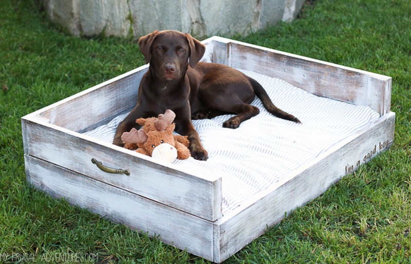 DIY dog bed