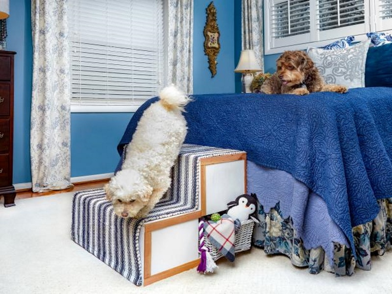 DIY dog stairs plans