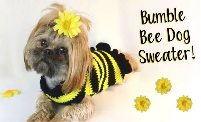DIY dog sweater