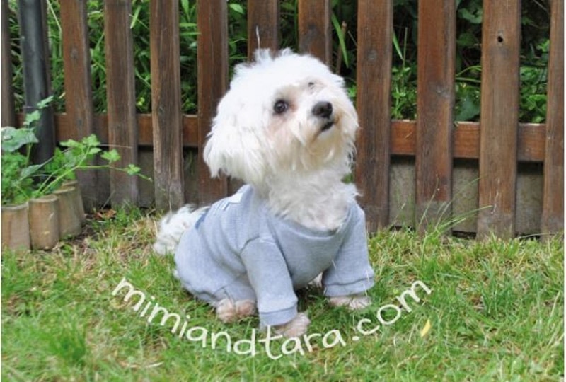 DIY dog sweater
