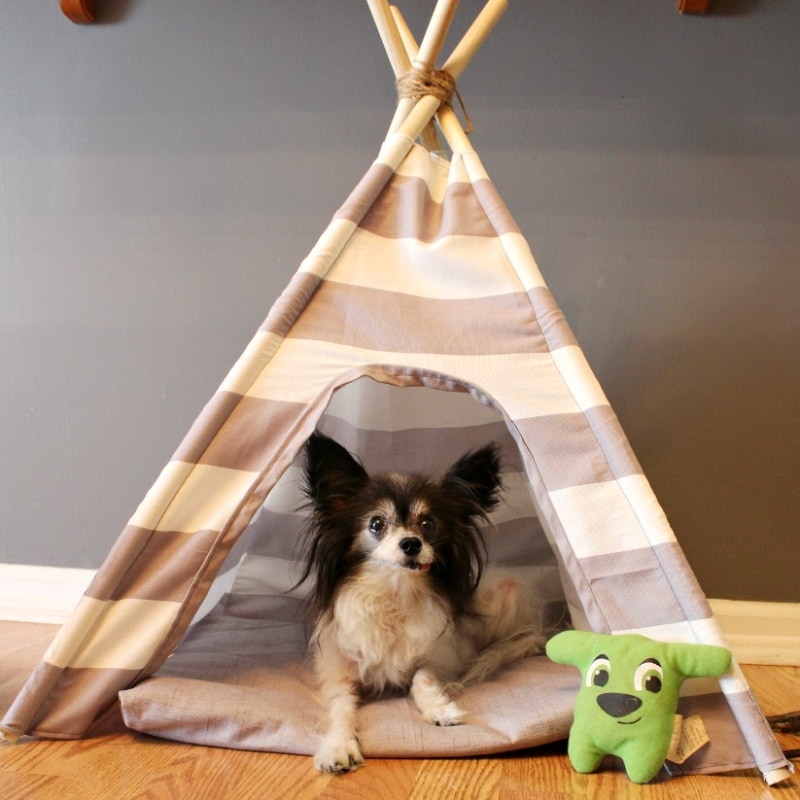 DIY dog teepees