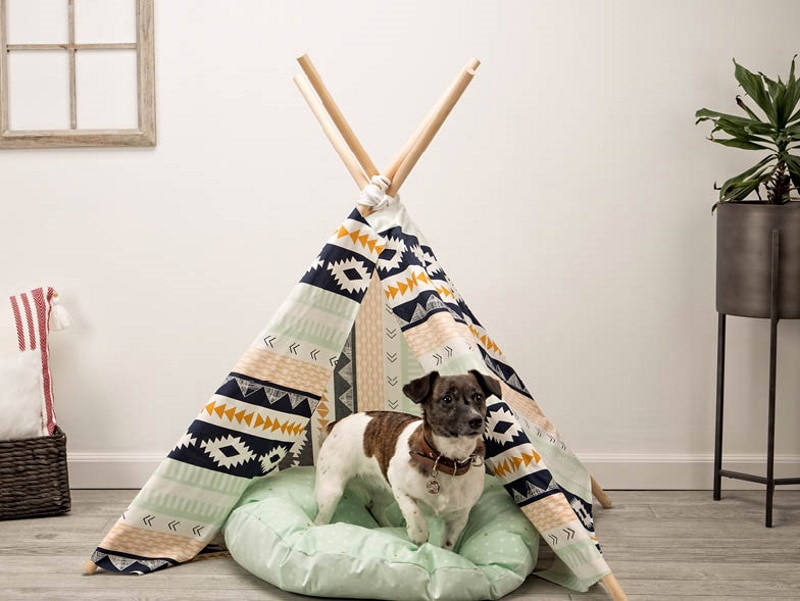 DIY dog teepees