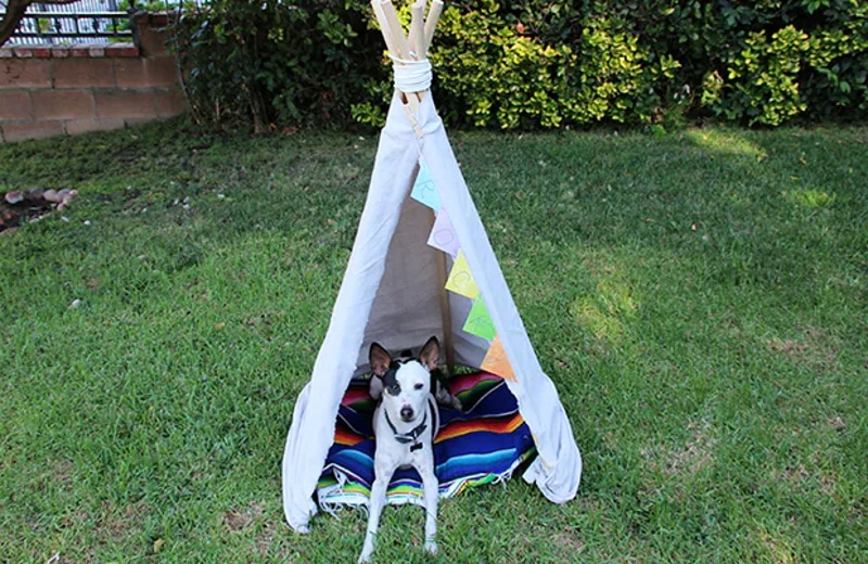 DIY dog teepees