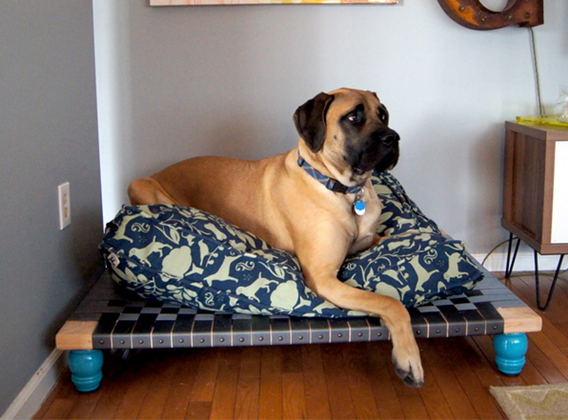DIY raised dog bed