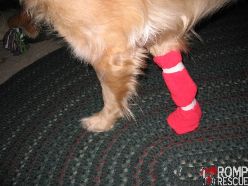 Easy DIY Dog Boots