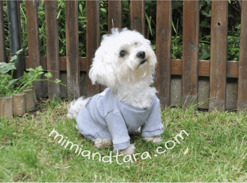 Easy Dog Sweater with Sleeves - Mimi & Tara