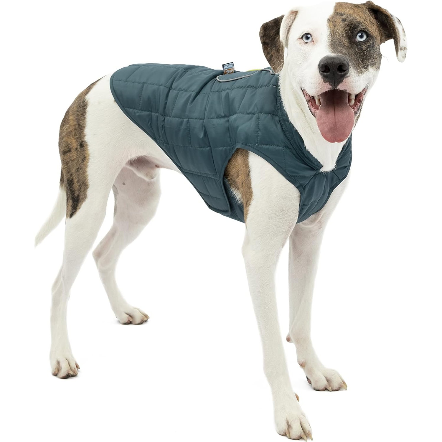 Kurgo Dog Winter Jacket