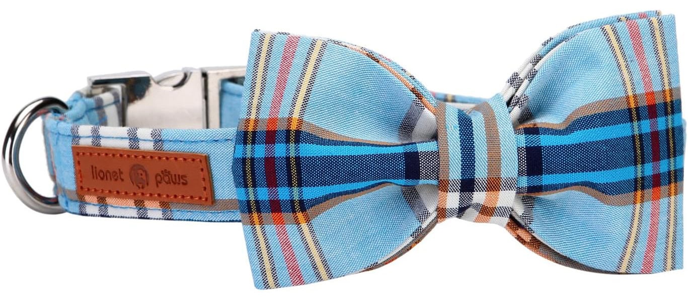 Lionet Paws Boy Dog Collar with Bowtie
