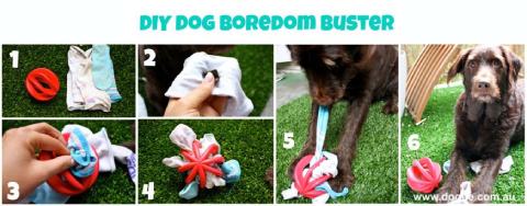 Make Your Own Interactive Dog Toy