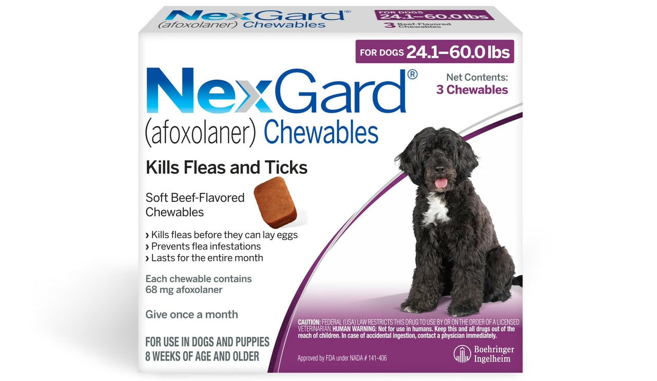 NexGard Chew for Dogs