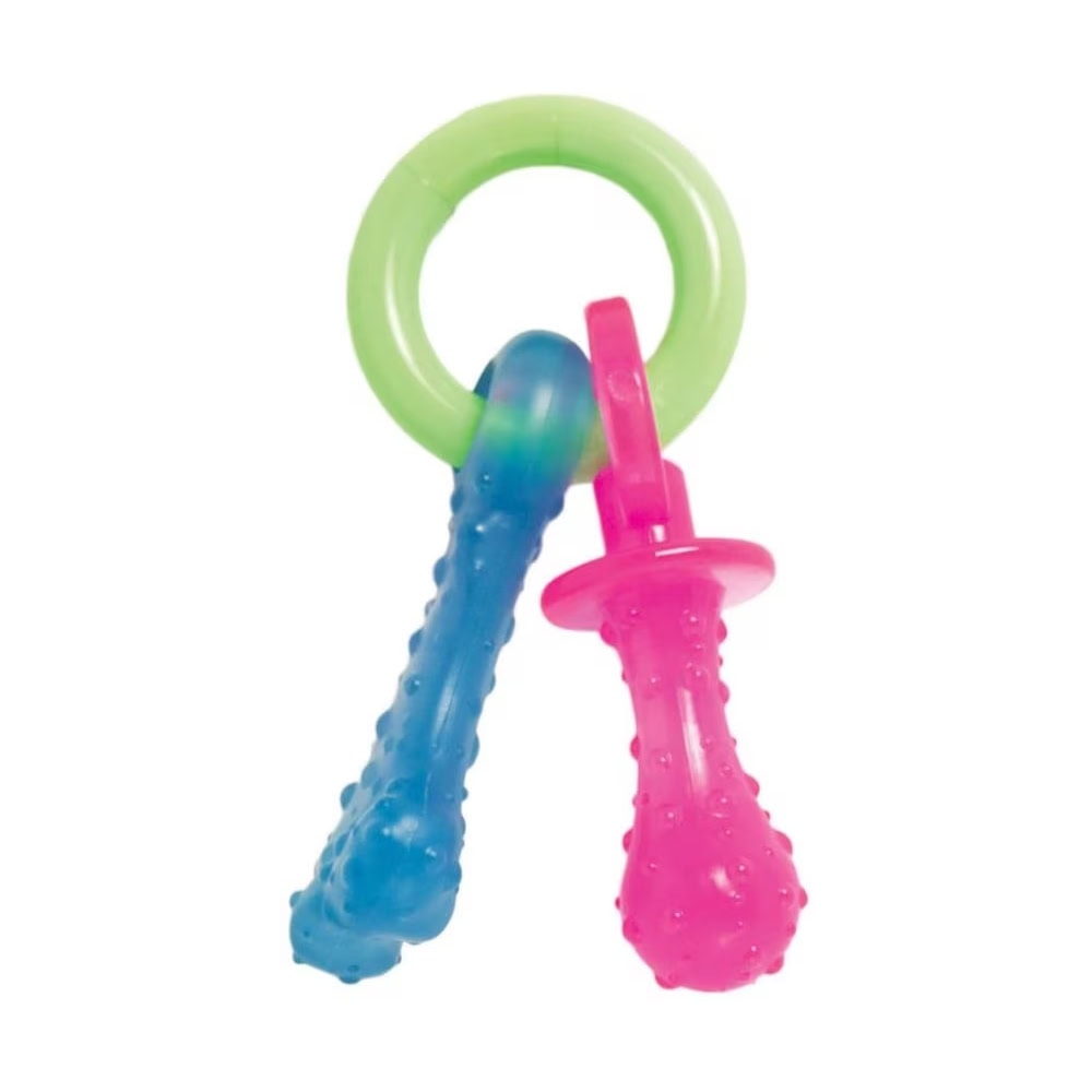 Nylabone Puppy Pacifier Teething Toy Chew Teething Pacifier Bacon New