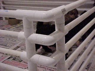 PVC Puppy Playpen, From Dreamydoodles