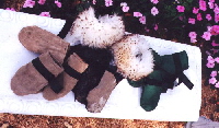 Paw Protectors and Winter Dog Boots