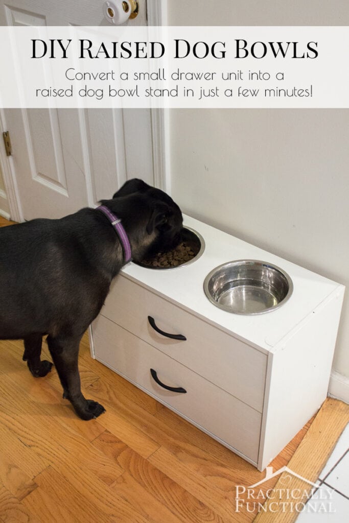 Practically Functional Elevated Dog Food Bowl