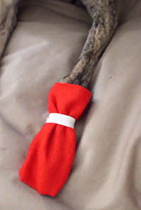 Sew Your Own Winter Dog Boots
