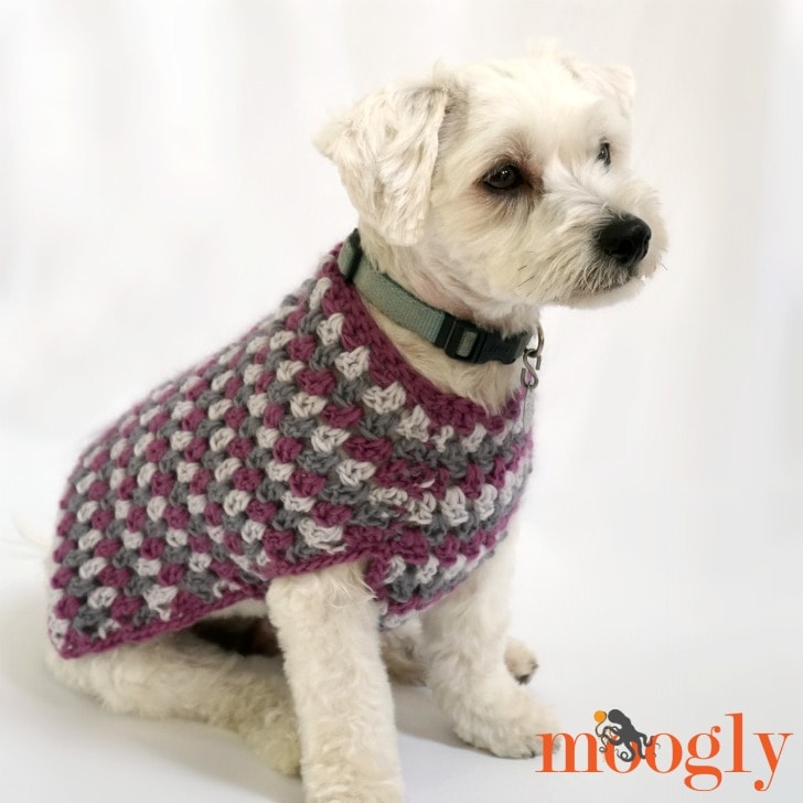 Well Dressed Dog Coat – Moogly