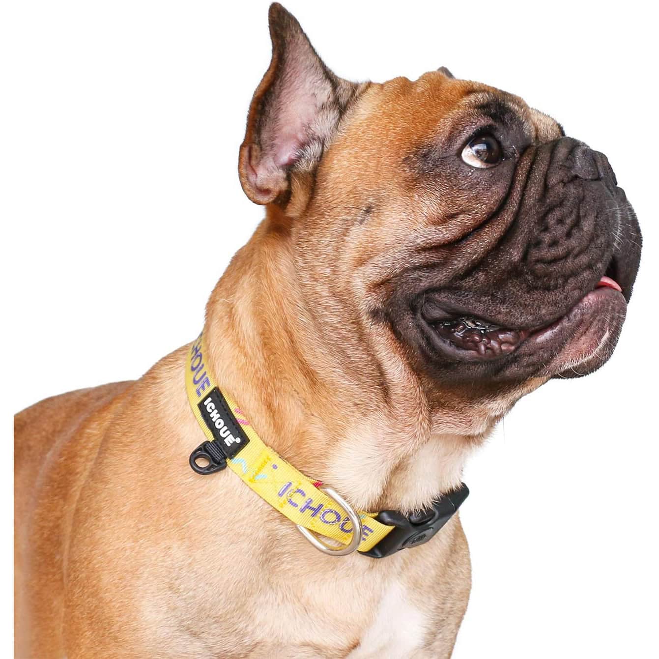 iChoue Printed Dog Collar Pet Adjustable