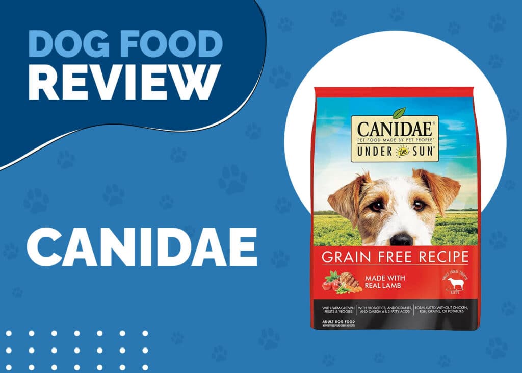 Canidae Dog Food Review