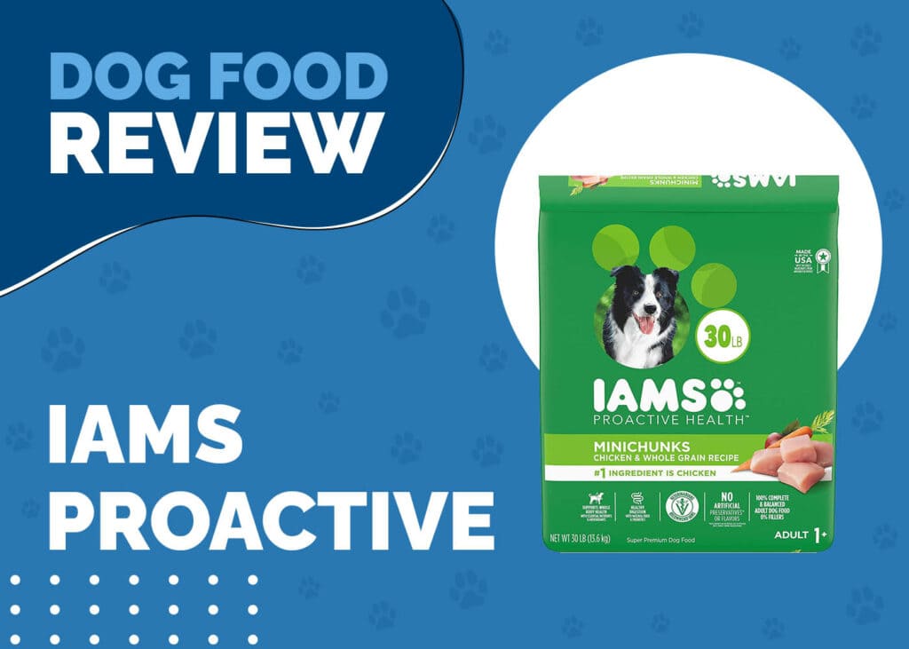 IAMS Proactive Adult Dog Food Review