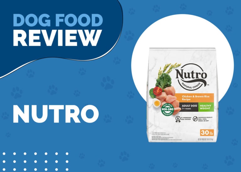 Is Nutro Dog Food Being Discontinued Nutro Natural Choice Dog Food Review 2025: Recalls, Pros & Cons