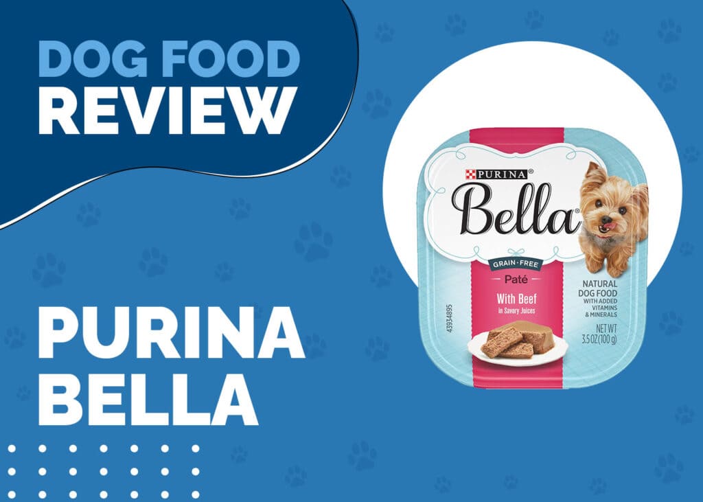 Purina Bella Dog Food Review