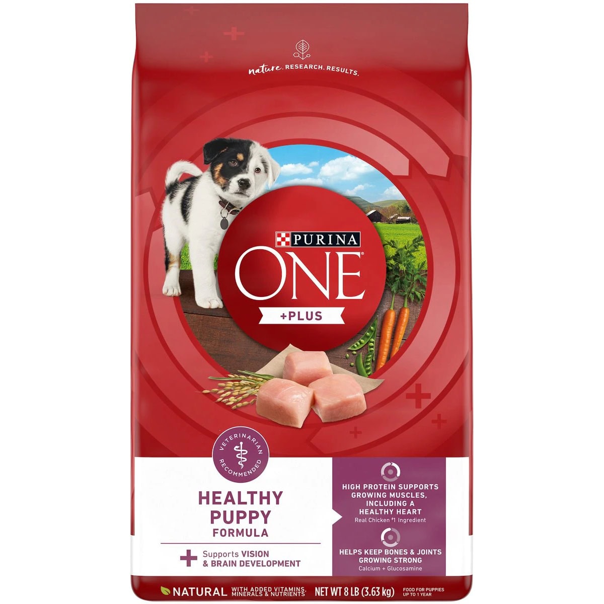 Purina ONE Natural Puppy Dog Food