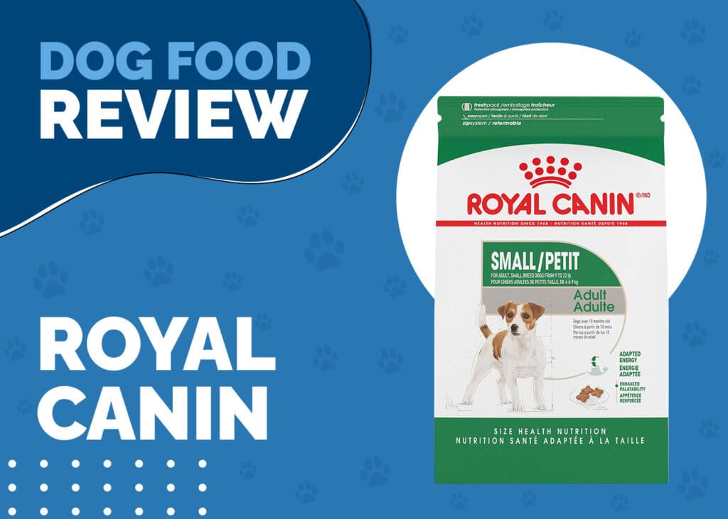 Royal Canin Dog Food Review