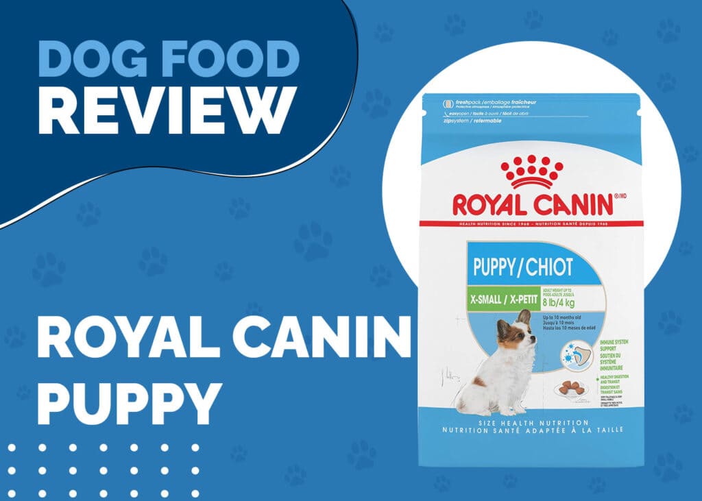 Royal Canin Puppy Dog Food Review