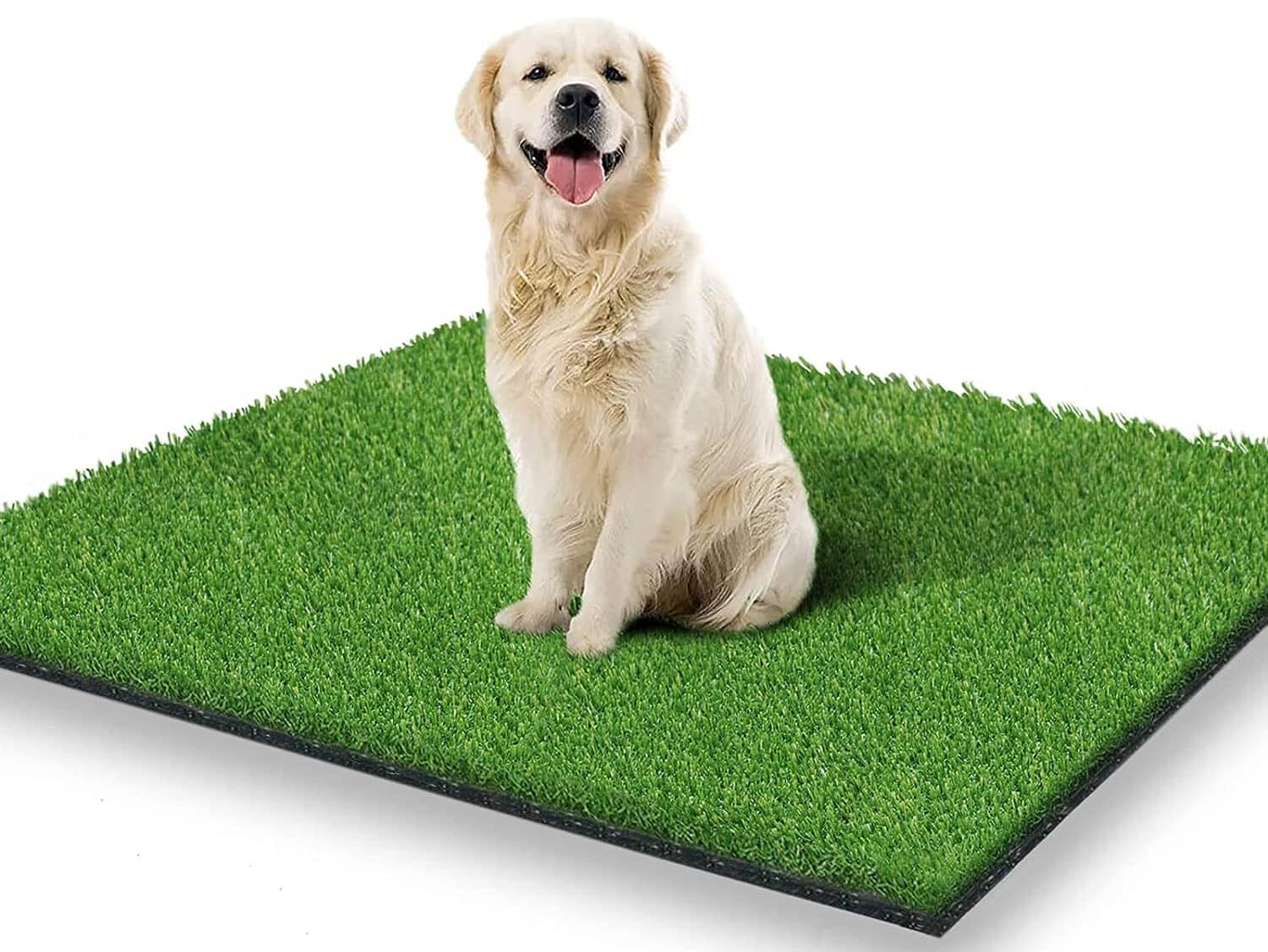 STARROAD-TIM Artificial Grass Rug Turf for Dogs