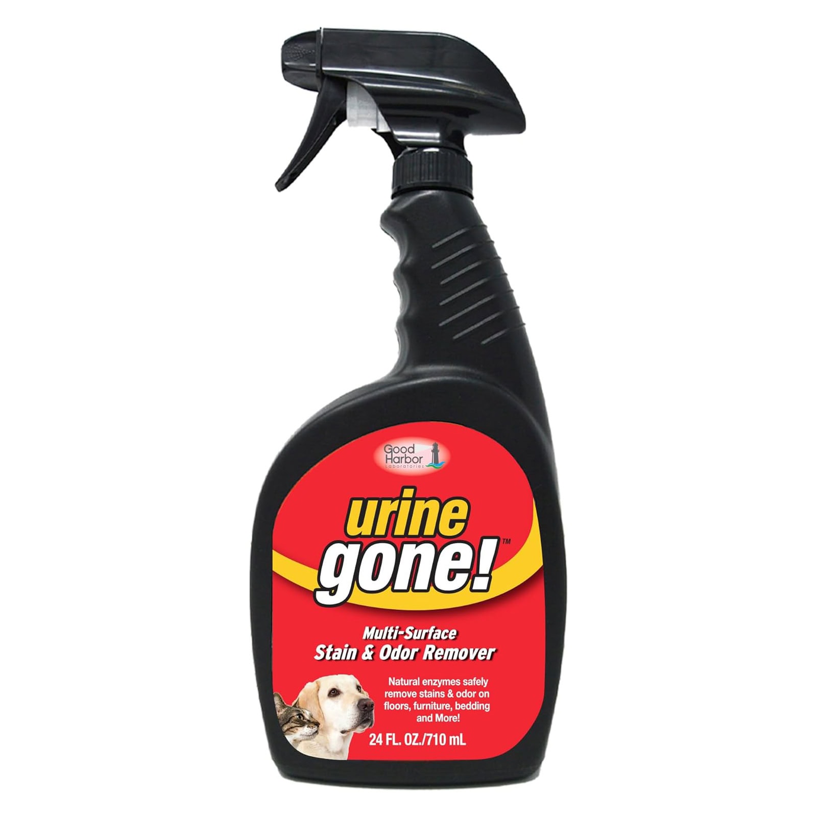 Urine Gone Stain & Odor Eliminator