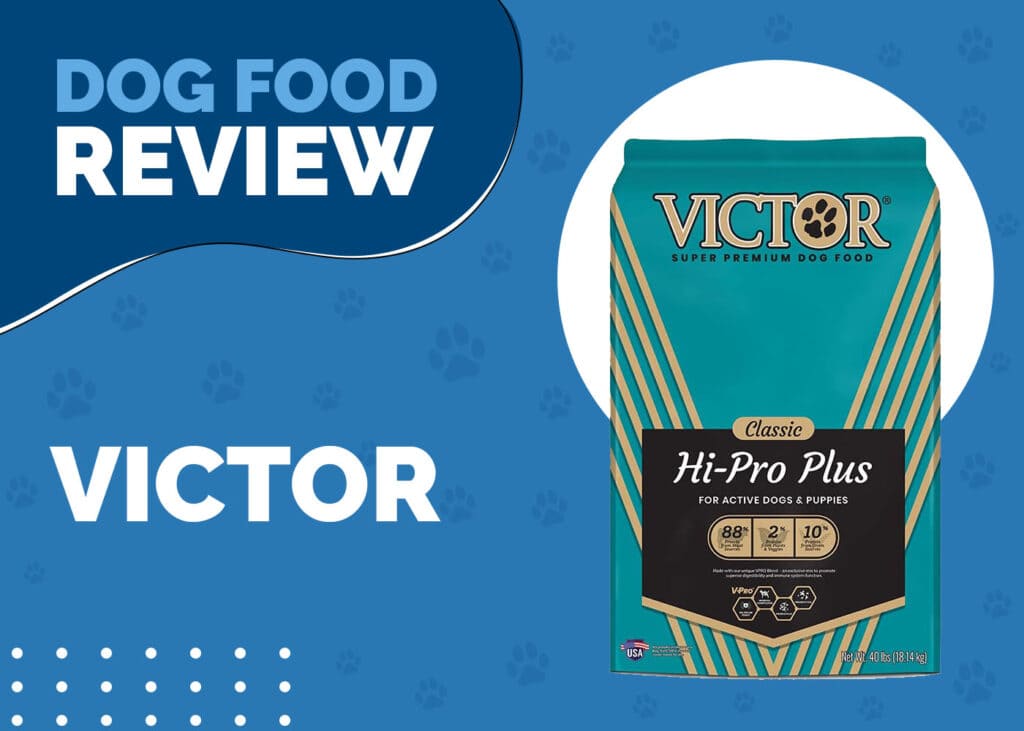 Victor Dog Food Review