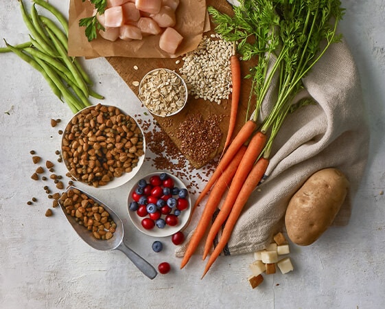 ingredients in Blue Buffalo dog food