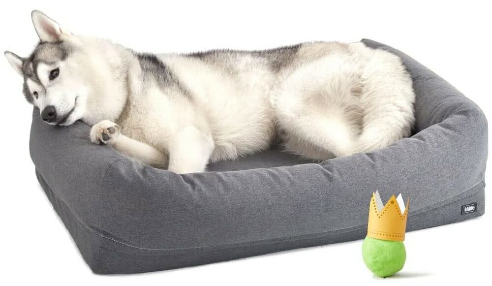 Barkbox Memory Foam Dog Bed with High Density Foam Base for Orthopedic Joint Relief New