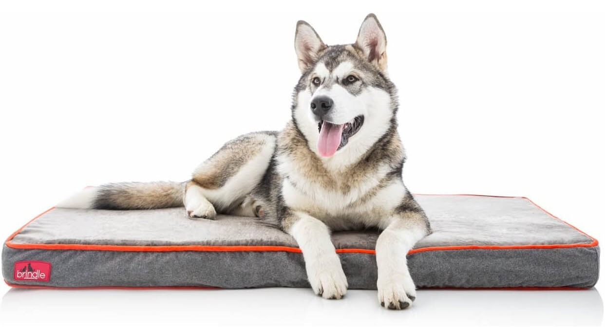 Brindle Memory Foam Dog Bed