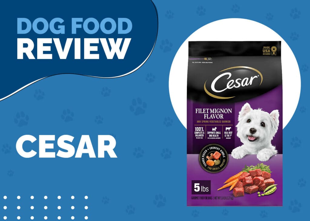 Cesar Dog Food Review