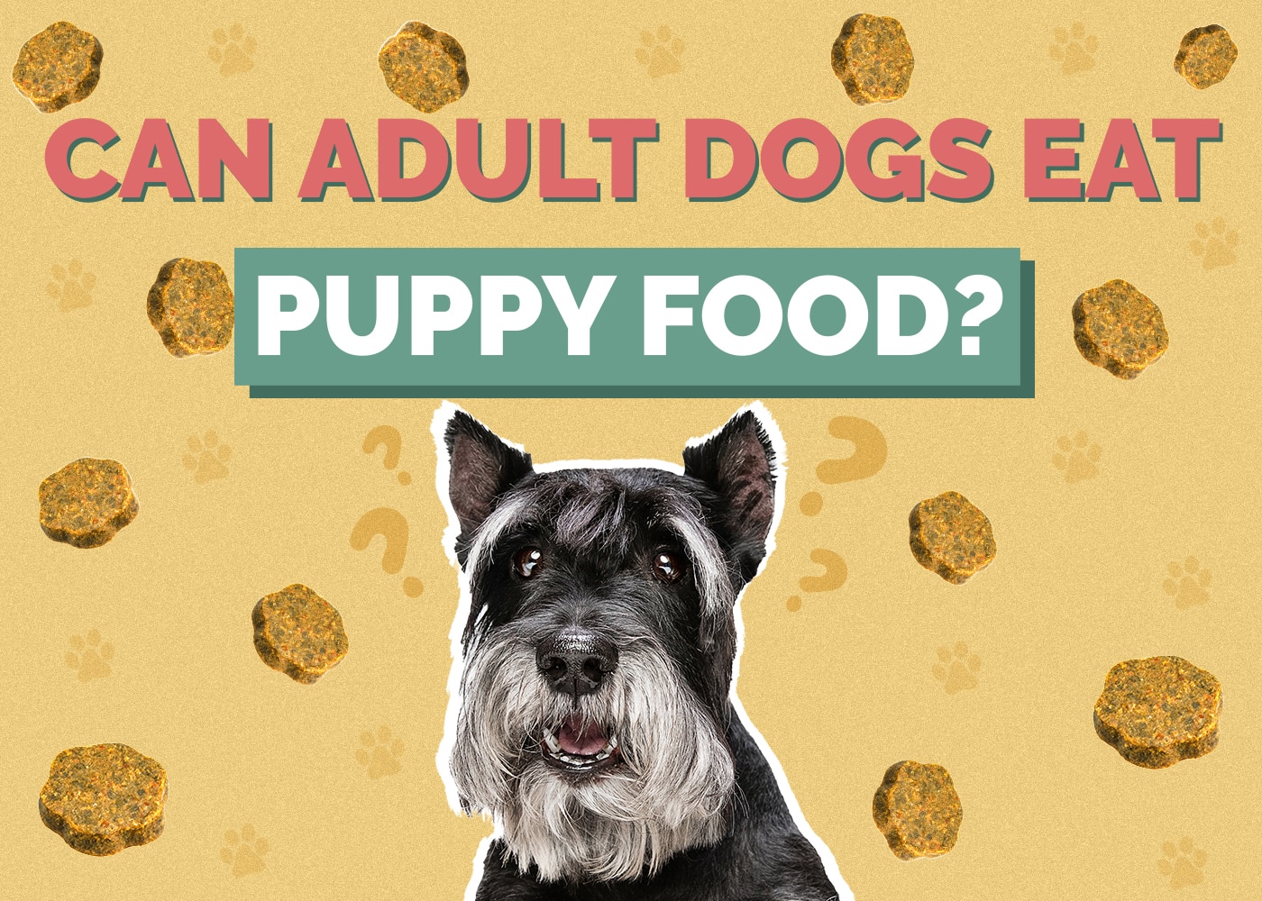 Can Dogs Eat Puppy_food