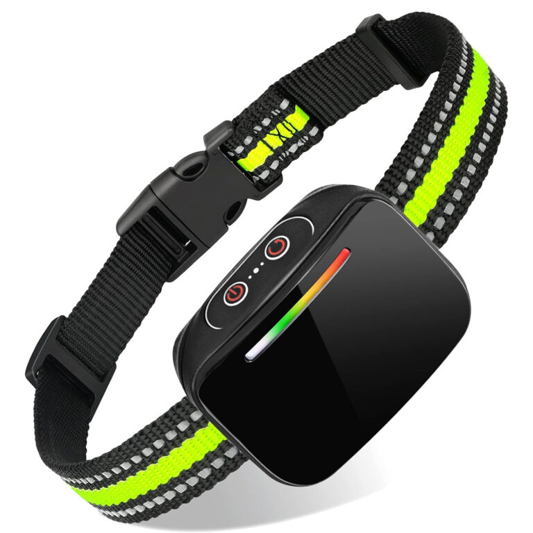 Best dog shock collar