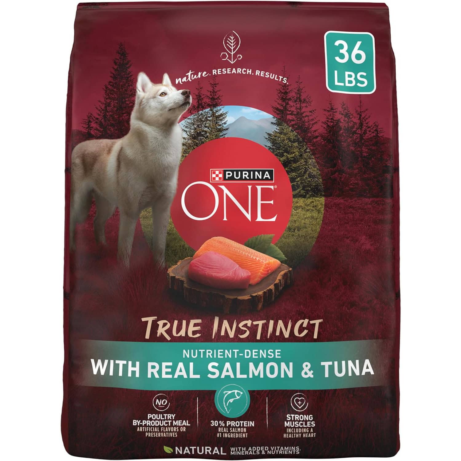 Purina ONE SmartBlend Adult Dry Dog Food