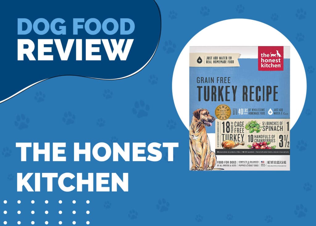 The Honest Kitchen Dog Food Review