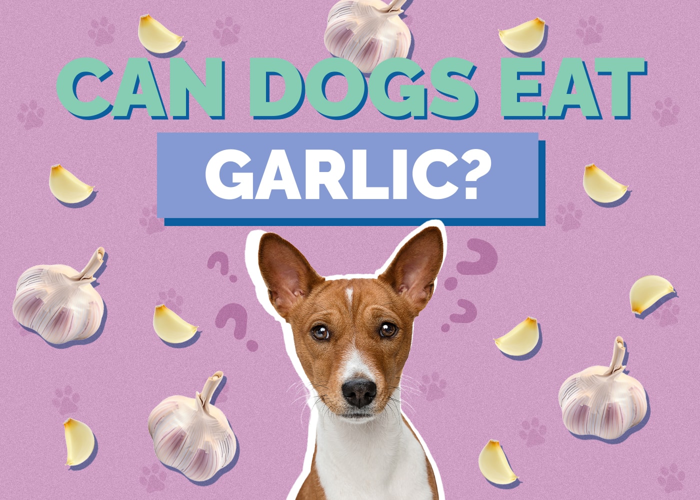 Can Dogs Eat garlic
