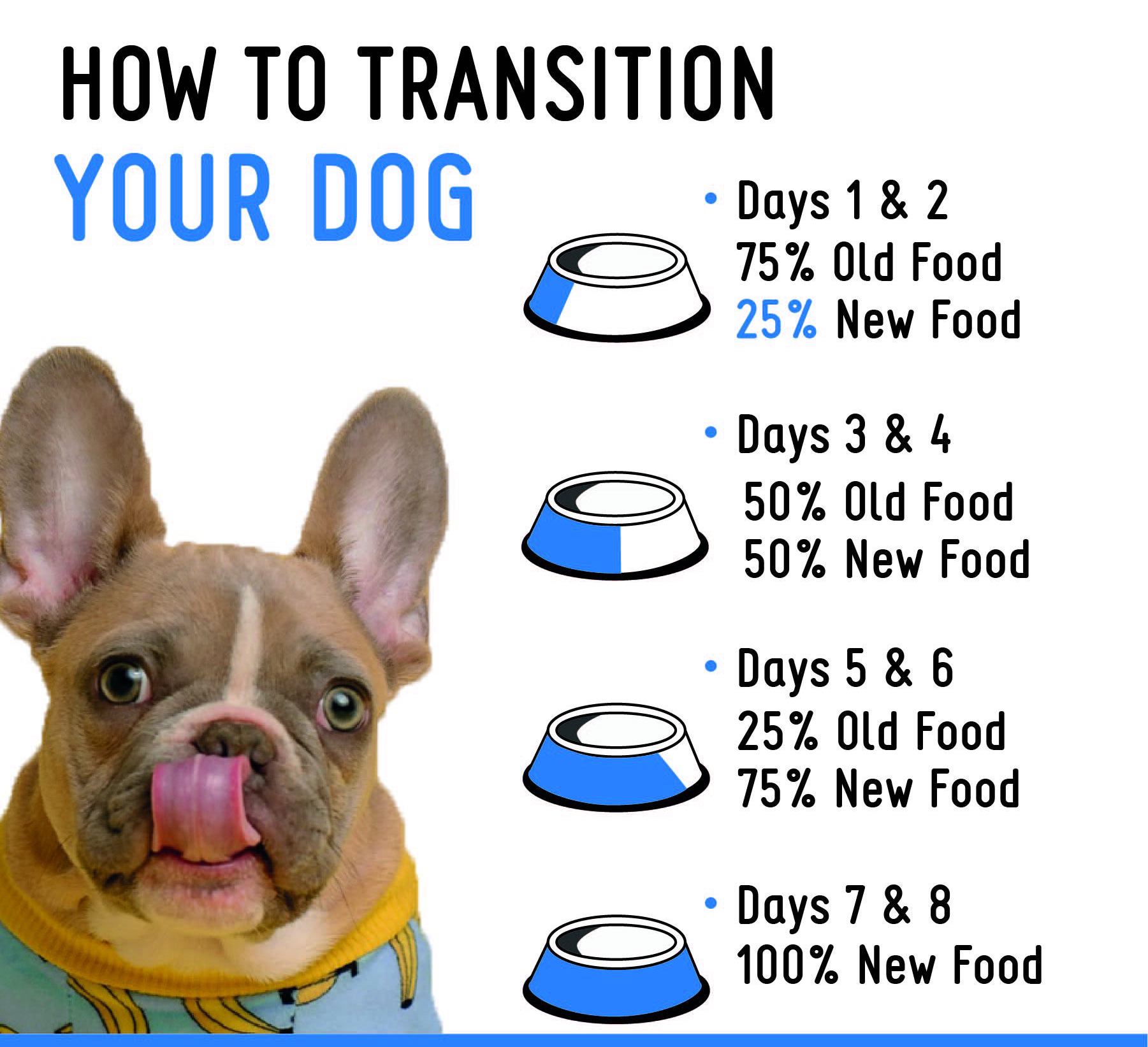how to transition your dogs food infographic