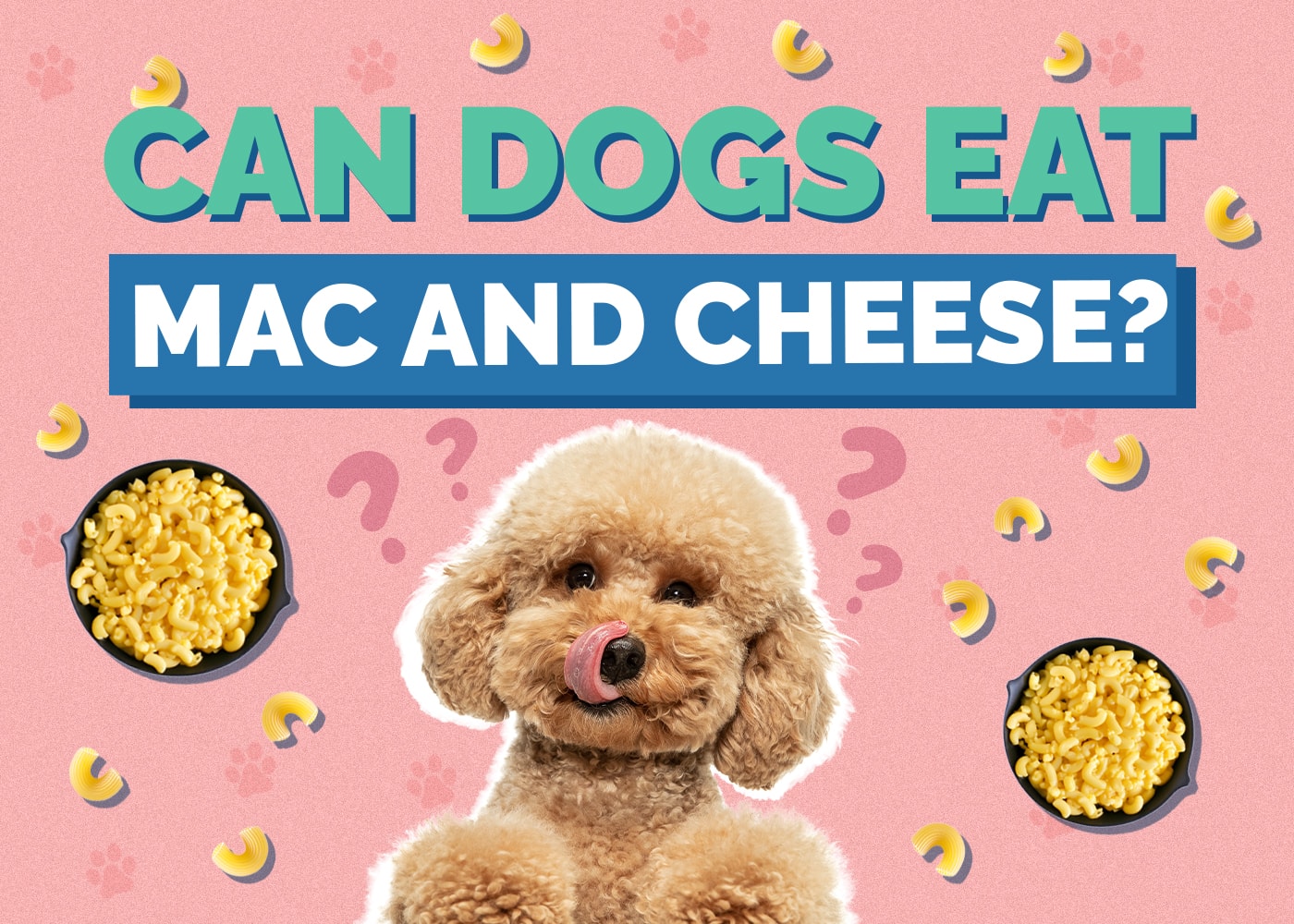 Can Dogs Eat mac-and-cheese