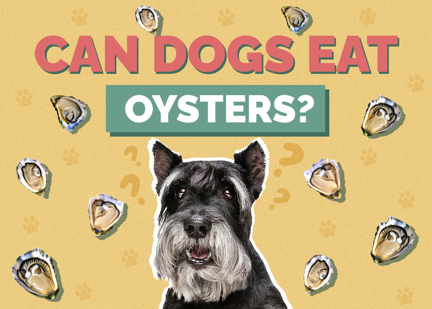 Can Dogs Eat oyster